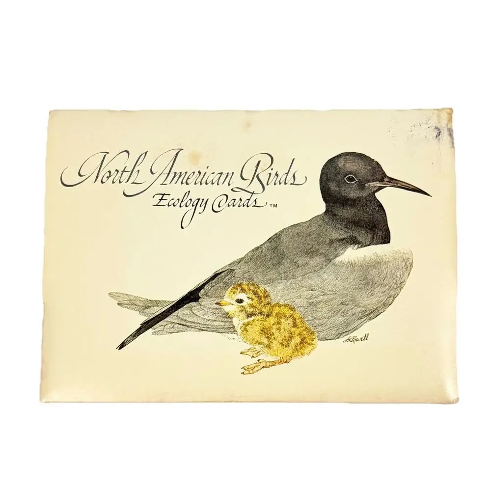 Vtg LK Powell North American Ecology Cards & Envelopes Set 5 Bird Illustration